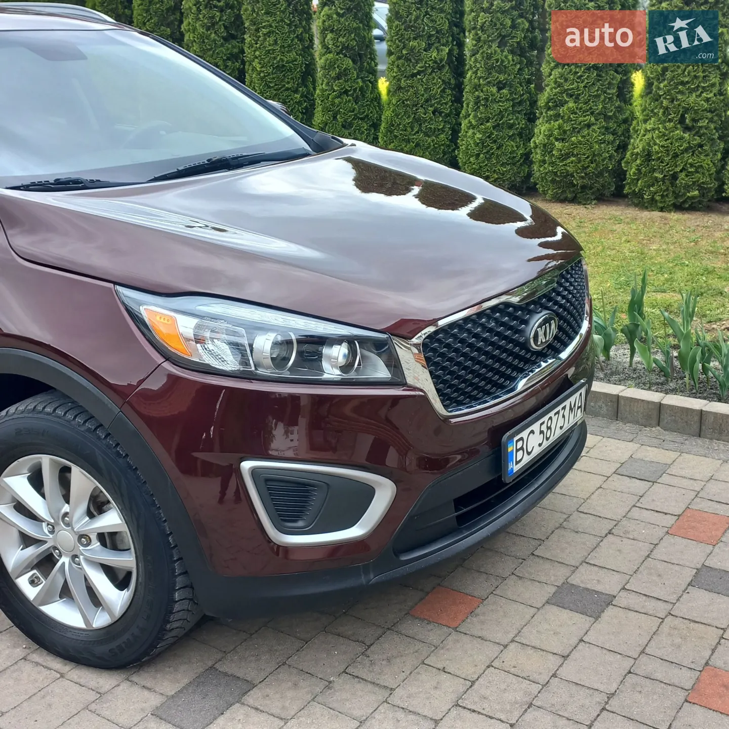 2016 Kia Sorento - мініатюра 2