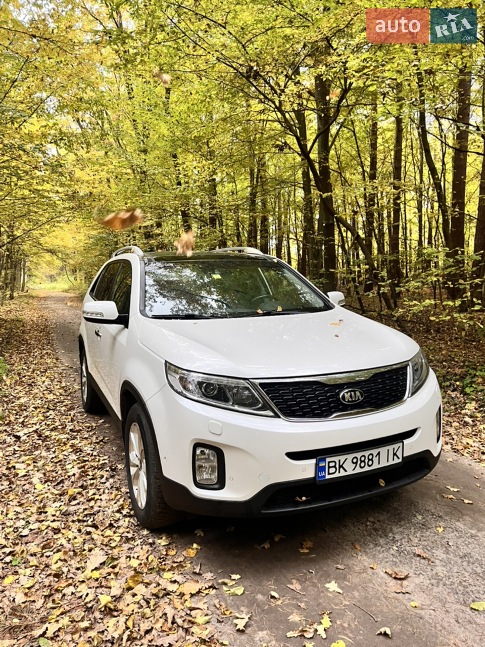 2013 Kia Sorento - мініатюра 9