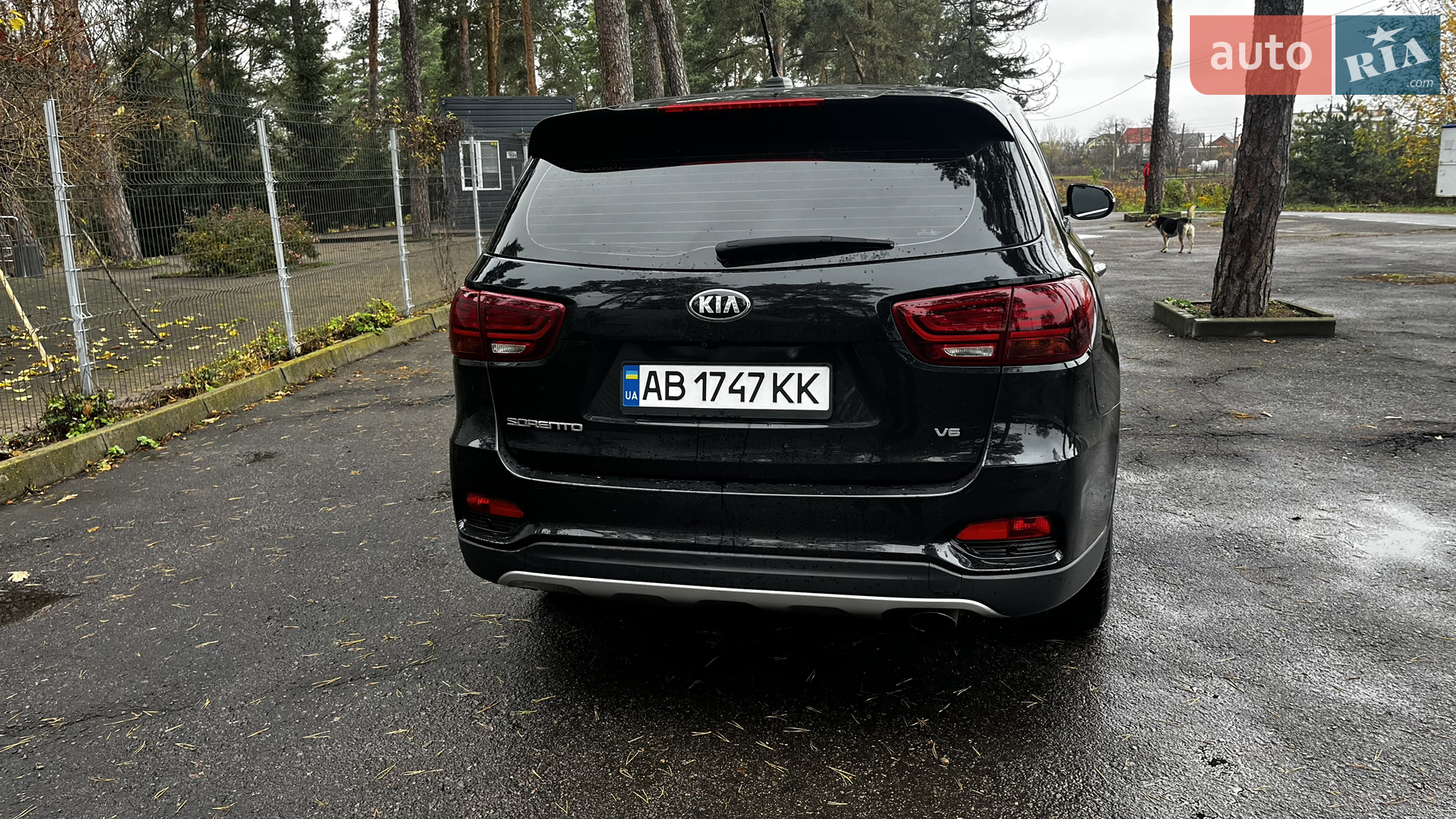 2018 Kia Sorento - мініатюра 7