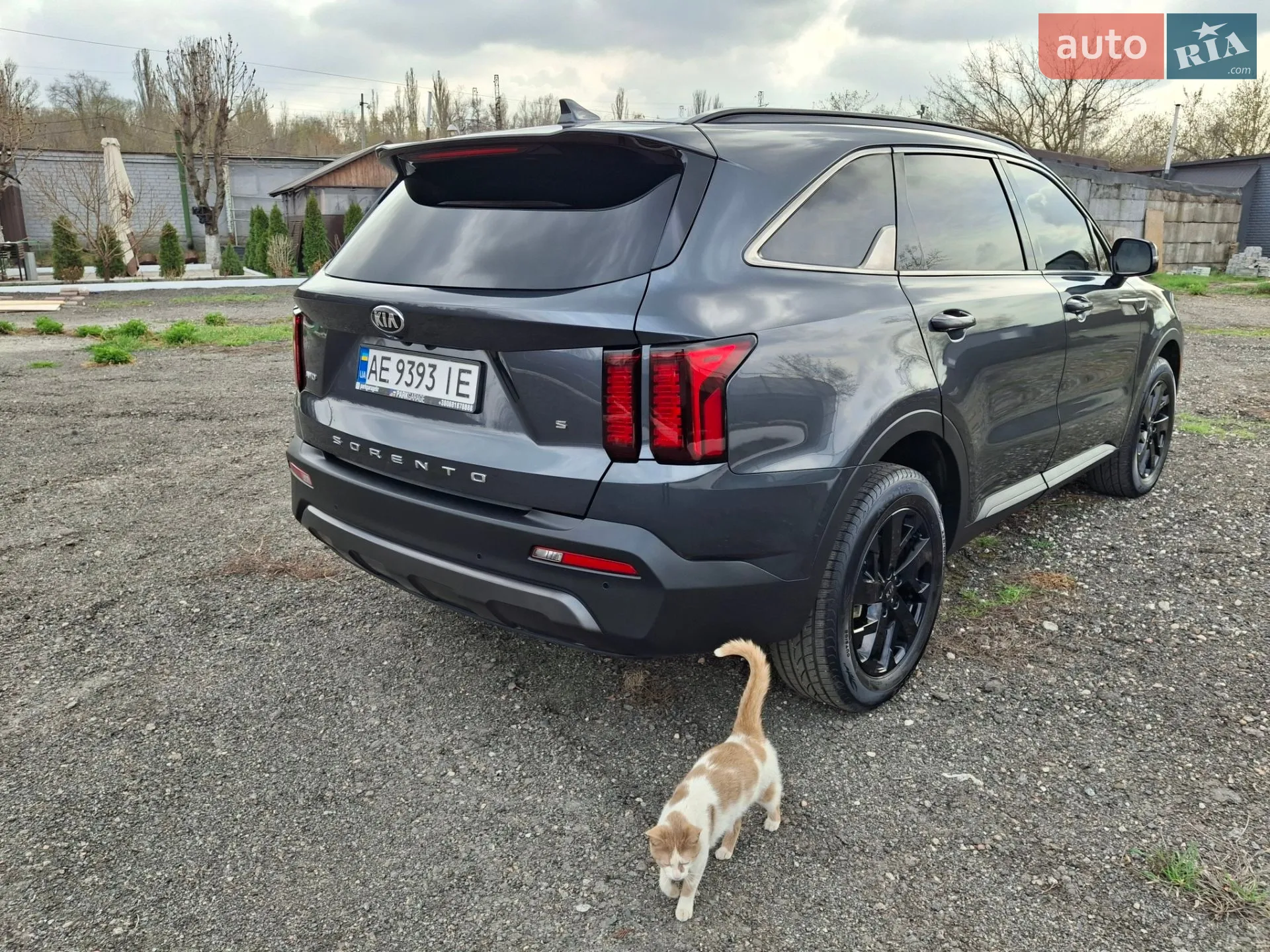 2021 Kia Sorento - мініатюра 7