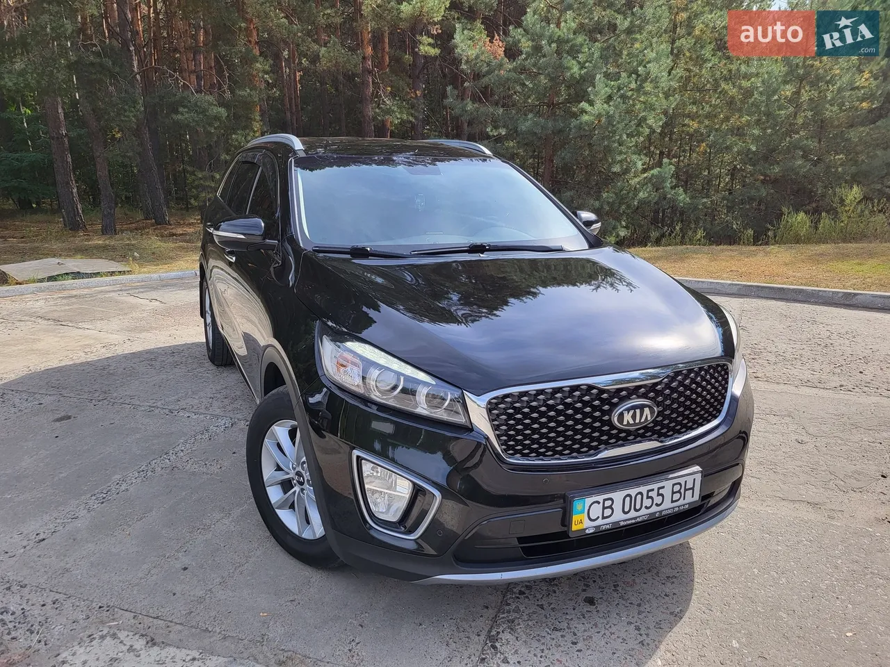 2015 Kia Sorento - мініатюра 31