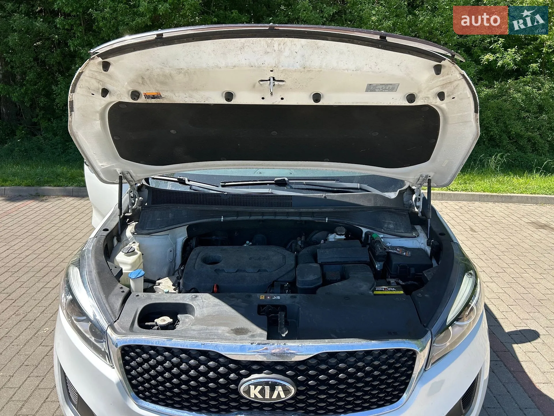 2015 Kia Sorento - мініатюра 11