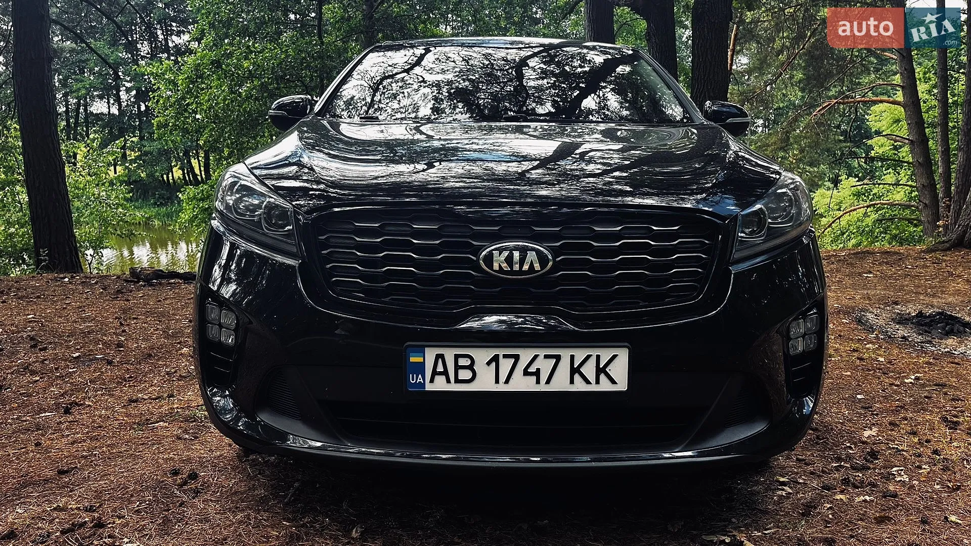 2018 Kia Sorento - мініатюра 3
