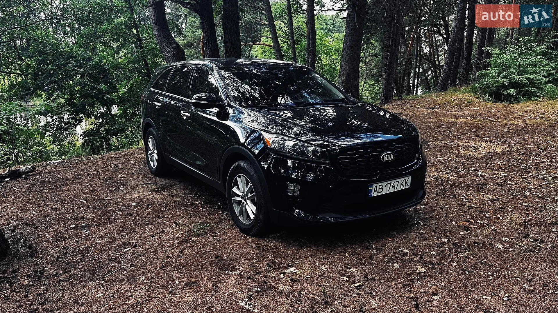 2018 Kia Sorento - мініатюра 6