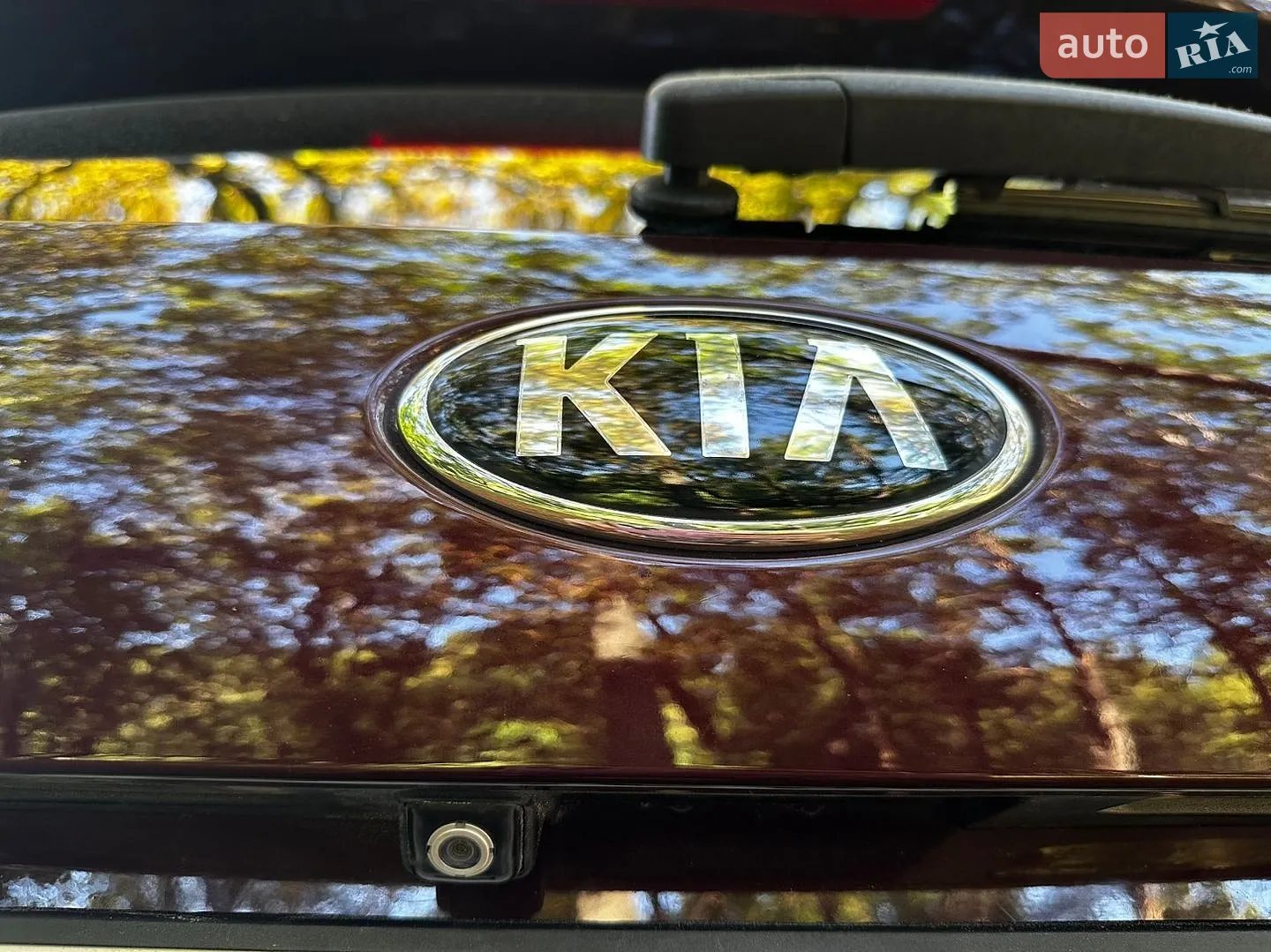 2016 Kia Sorento - мініатюра 8
