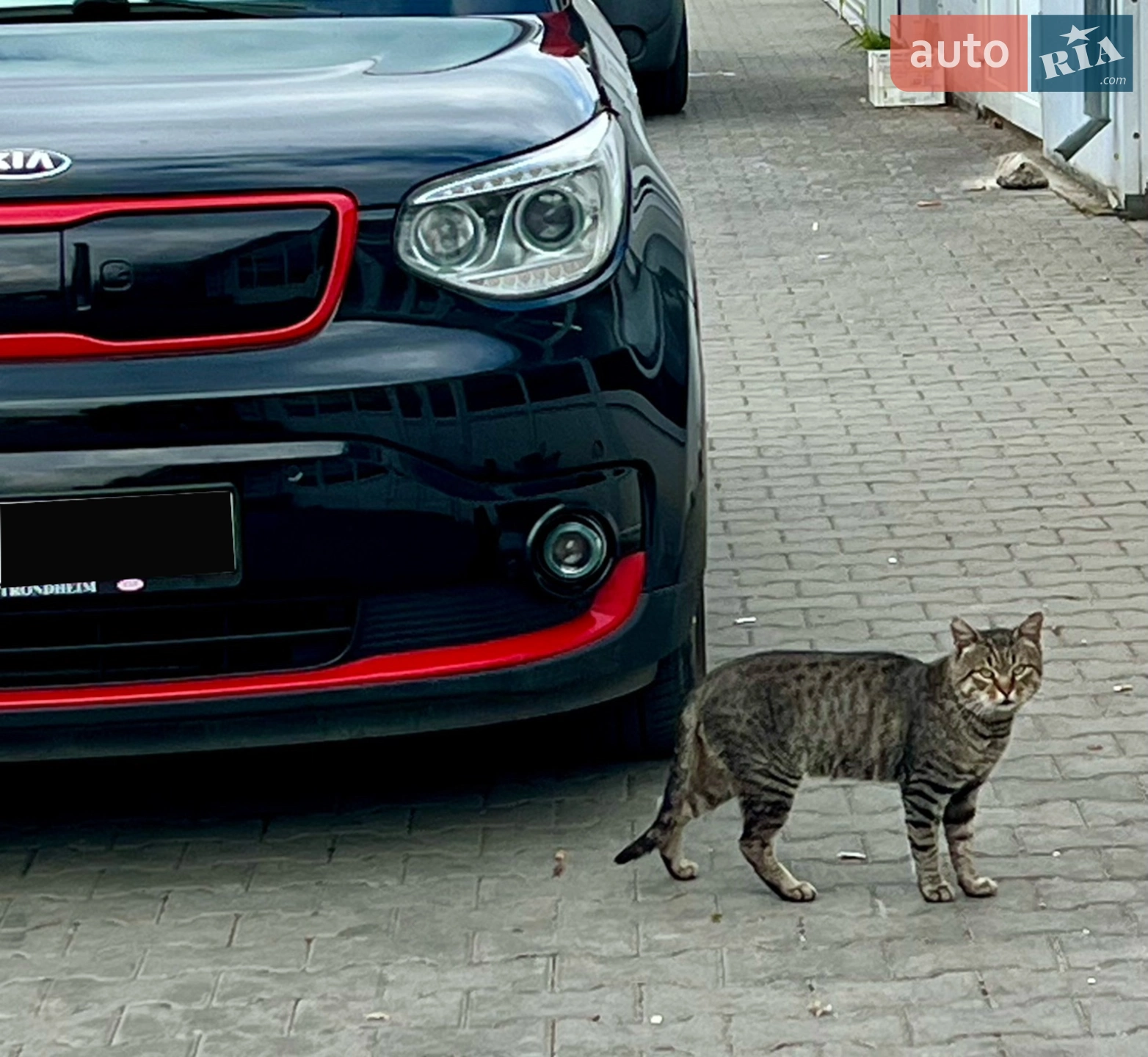 2016 Kia Soul EV - мініатюра 9