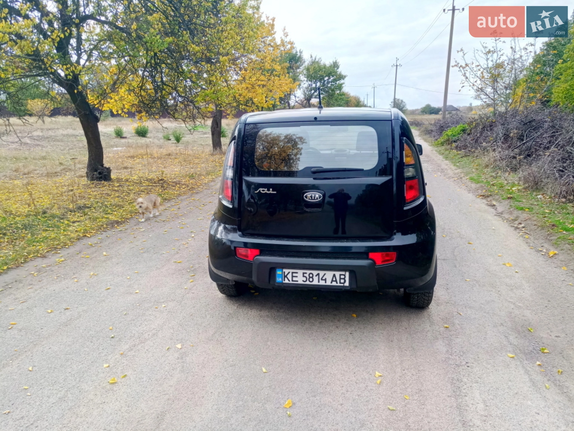 2010 Kia Soul - мініатюра 5