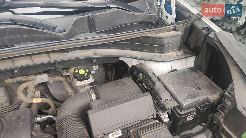 Внедорожник / Кроссовер Kia Sportage 2020 в Киеве