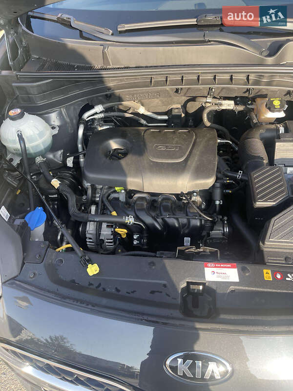Внедорожник / Кроссовер Kia Sportage 2021 в Запорожье фото 12 Внедорожник / Кроссовер Kia Sportage 2021 в Запорожье