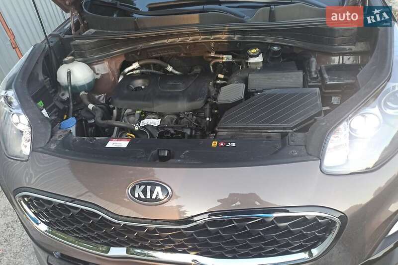 Позашляховик / Кросовер Kia Sportage 2020 в Львові