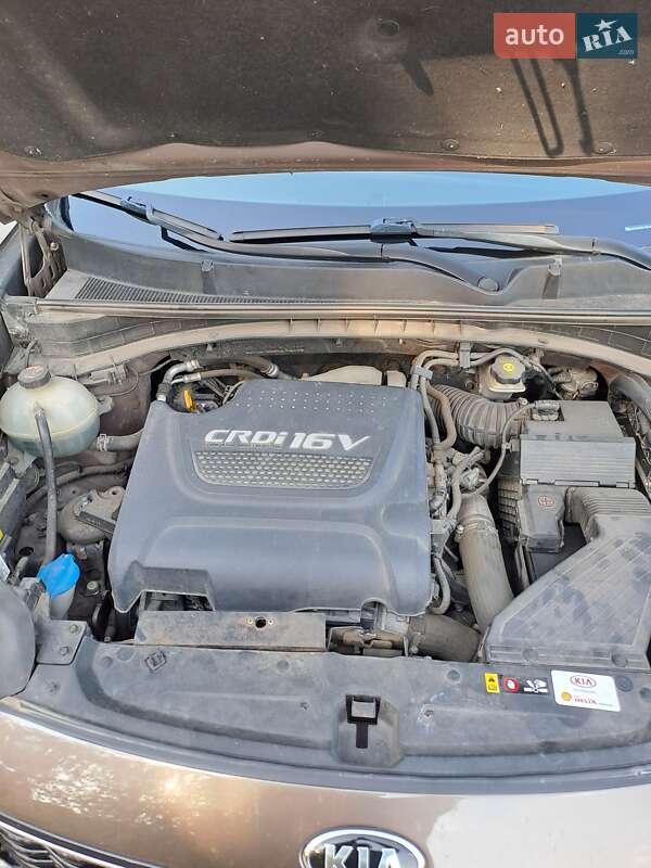 Внедорожник / Кроссовер Kia Sportage 2016 в Павлограде