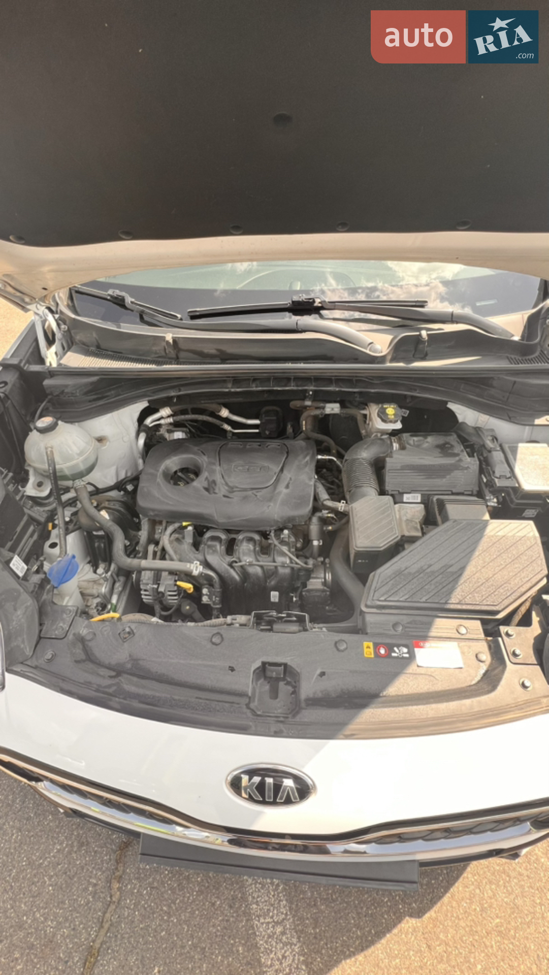Kia Sportage 2019 VIN U5YPG814BLL823919 фото оголошення 17 з 18