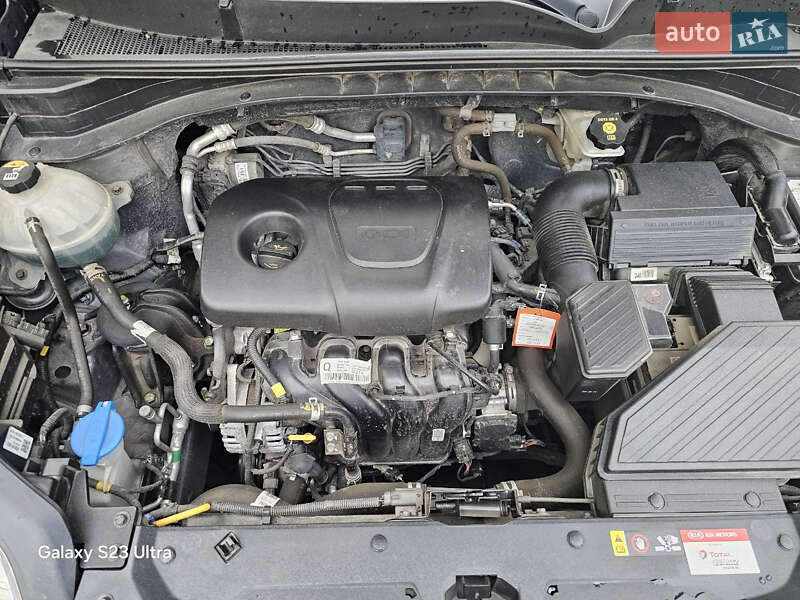 Позашляховик / Кросовер Kia Sportage 2021 в Борисполі