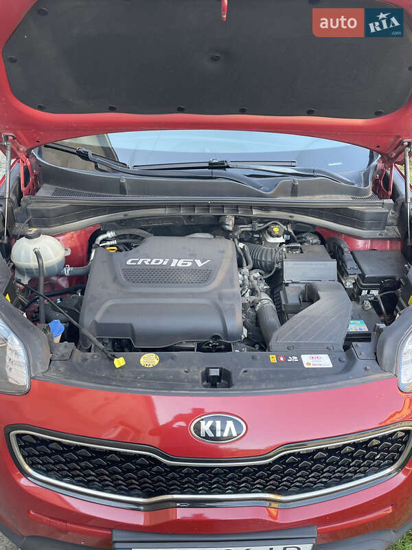 Внедорожник / Кроссовер Kia Sportage 2016 в Ровно