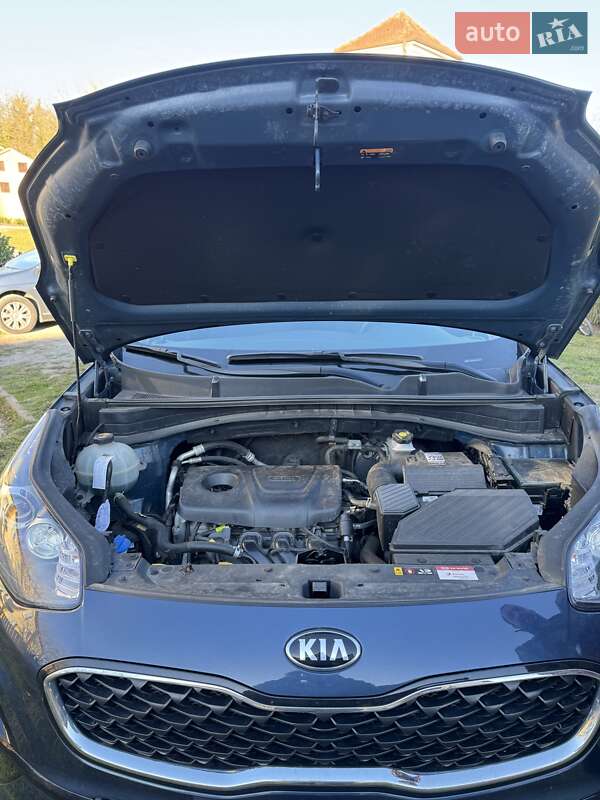 Позашляховик / Кросовер Kia Sportage 2019 в Рахові