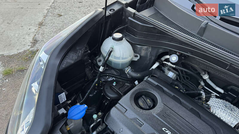 Внедорожник / Кроссовер Kia Sportage 2017 в Виннице фото 72 Внедорожник / Кроссовер Kia Sportage 2017 в Виннице