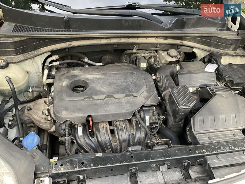 Внедорожник / Кроссовер Kia Sportage 2016 в Киеве фото 25 Внедорожник / Кроссовер Kia Sportage 2016 в Киеве