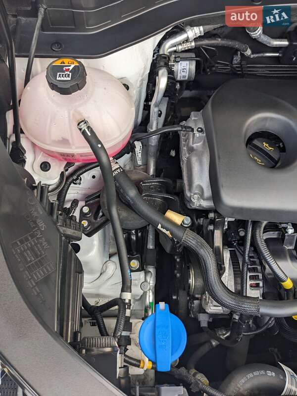 Внедорожник / Кроссовер Kia Sportage 2021 в Кременчуге