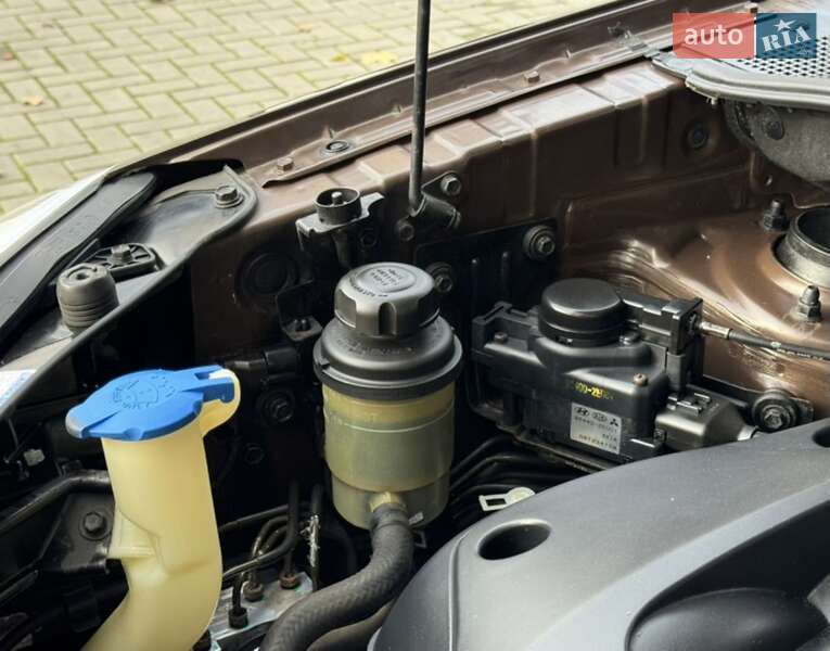 Внедорожник / Кроссовер Kia Sportage 2007 в Житомире фото 39 Внедорожник / Кроссовер Kia Sportage 2007 в Житомире