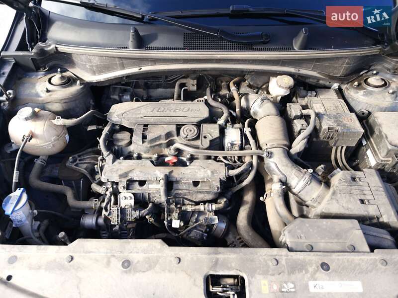Позашляховик / Кросовер Kia Sportage 2023 в Кропивницькому фото 23 Позашляховик / Кросовер Kia Sportage 2023 в Кропивницькому