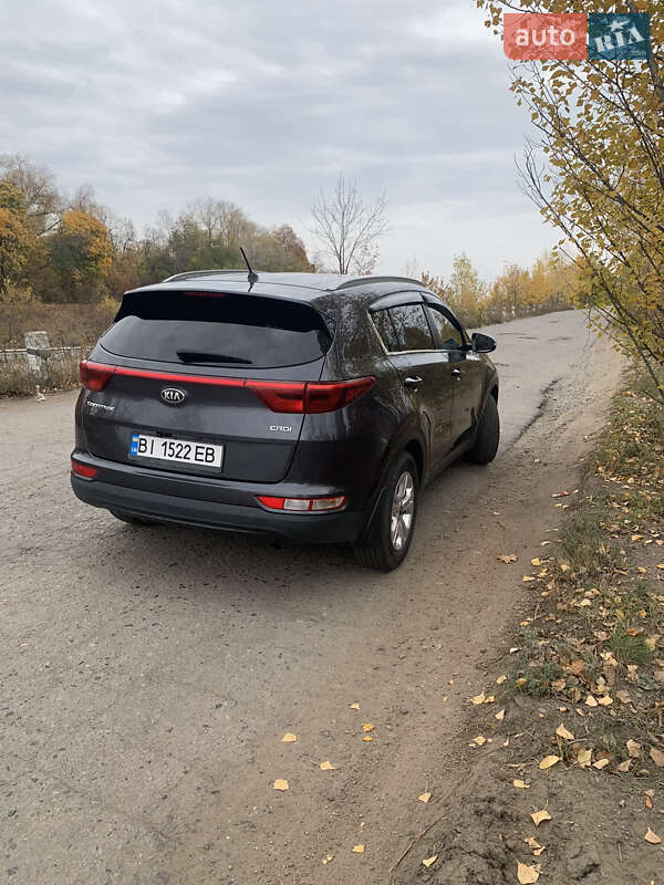 Внедорожник / Кроссовер Kia Sportage 2016 в Полтаве