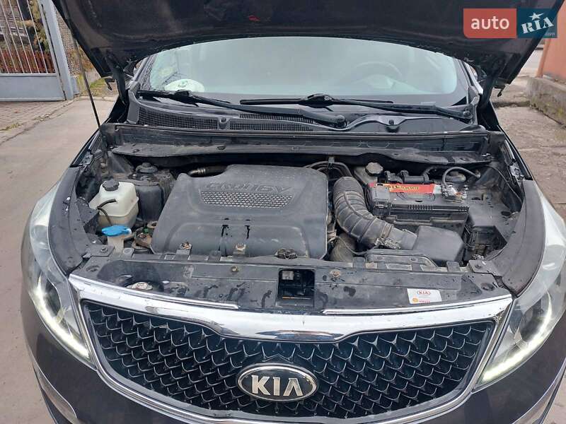 Позашляховик / Кросовер Kia Sportage 2015 в Львові фото 16 Позашляховик / Кросовер Kia Sportage 2015 в Львові