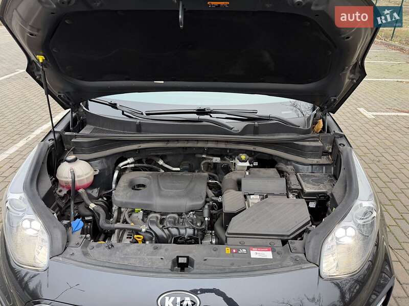 Внедорожник / Кроссовер Kia Sportage 2021 в Запорожье фото 14 Внедорожник / Кроссовер Kia Sportage 2021 в Запорожье