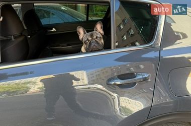 Внедорожник / Кроссовер Kia Sportage 2019 в Одессе