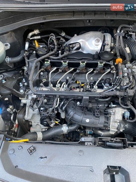 Внедорожник / Кроссовер Kia Sportage 2017 в Тячеве