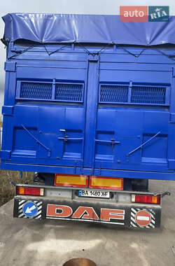 Самосвал полуприцеп Kogel SAF 2008 в Бобринце