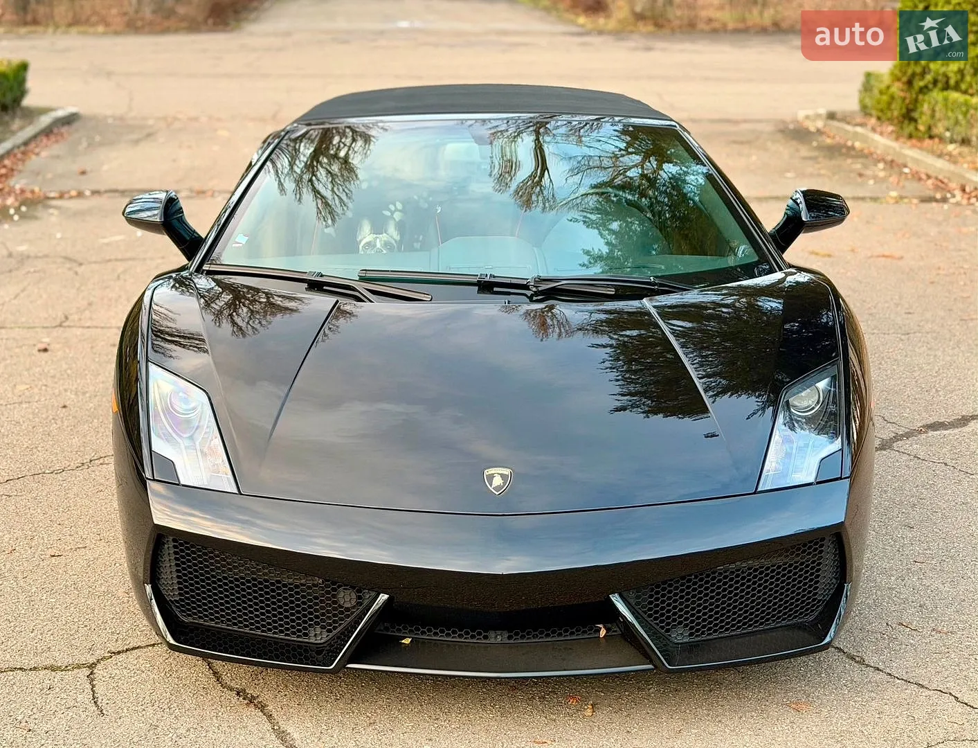 2010 Lamborghini Gallardo - мініатюра 19
