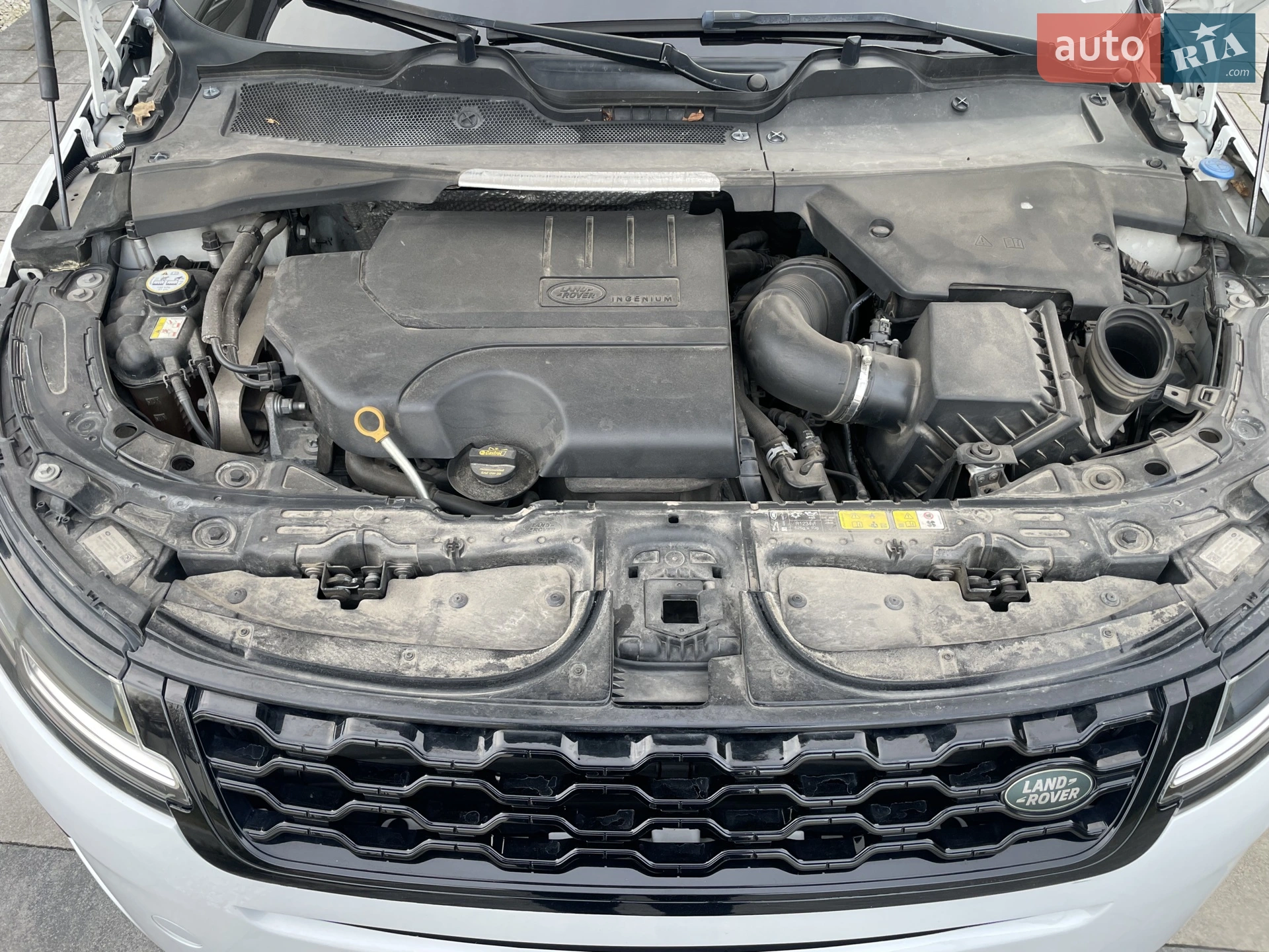 2019 Land Rover Range Rover Evoque - мініатюра 23