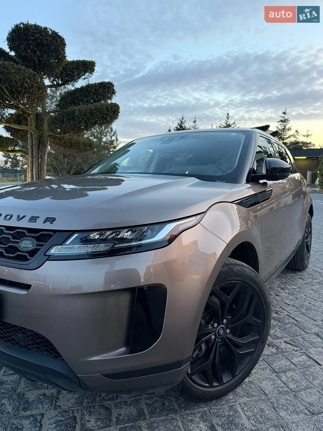 2019 Land Rover Range Rover Evoque - мініатюра 9