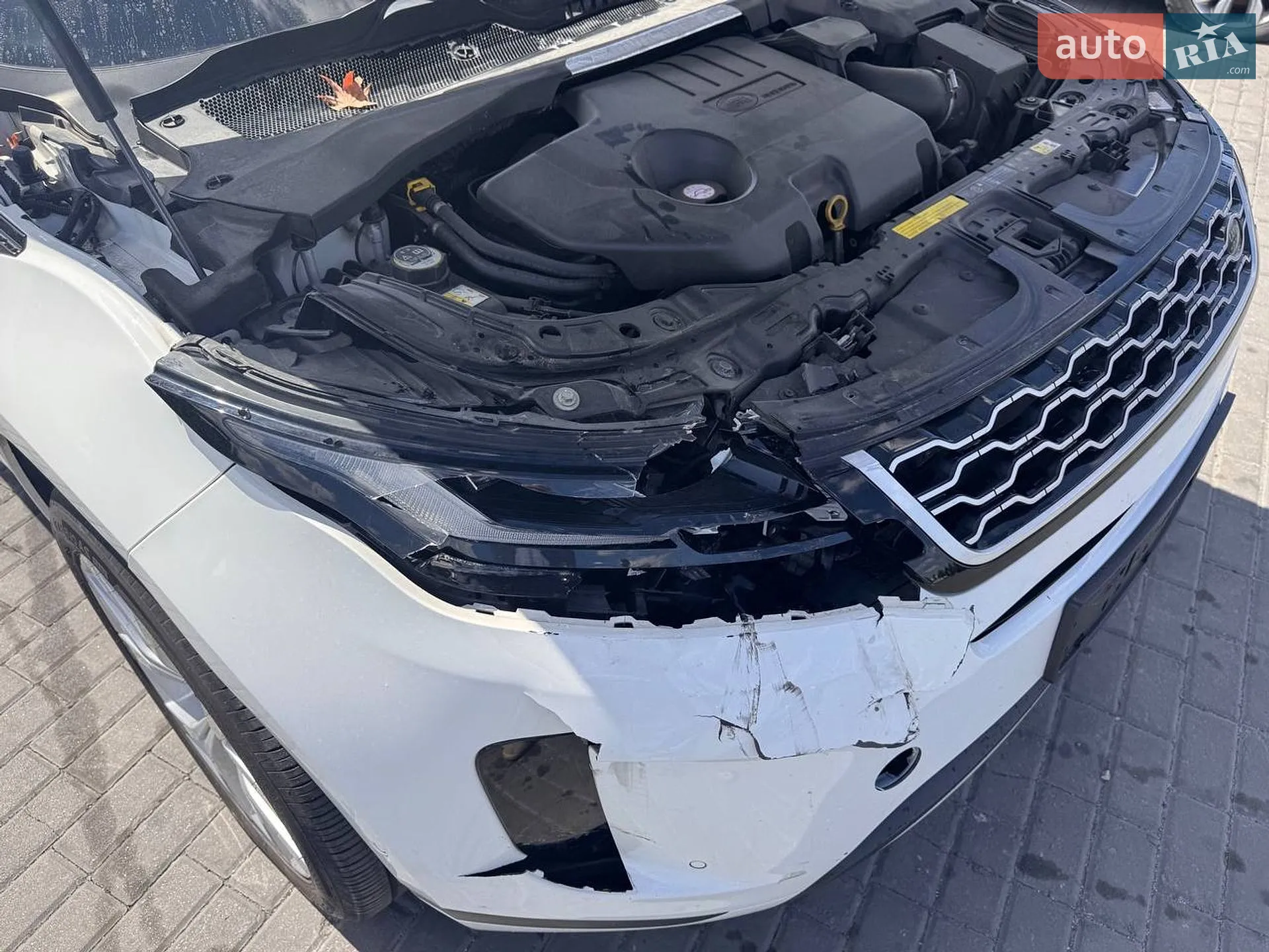 2019 Land Rover Range Rover Evoque - мініатюра 22