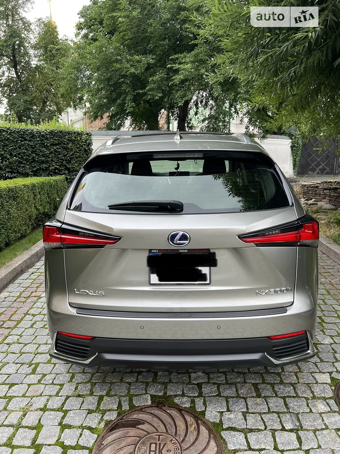 2019 Lexus NX - мініатюра 8