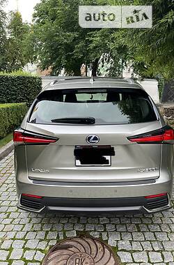 Позашляховик / Кросовер Lexus NX 2019 в 