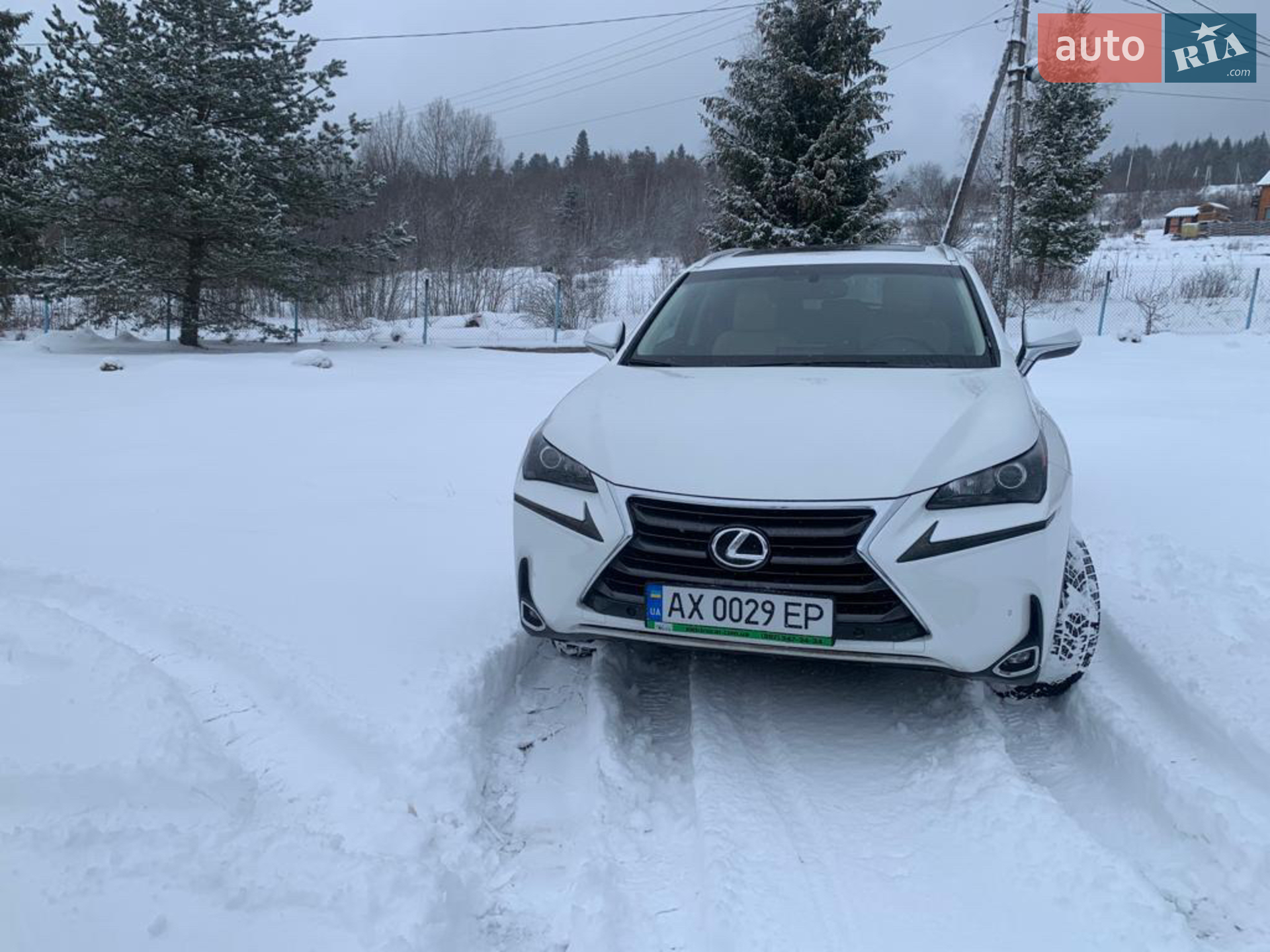 2016 Lexus NX - мініатюра 2