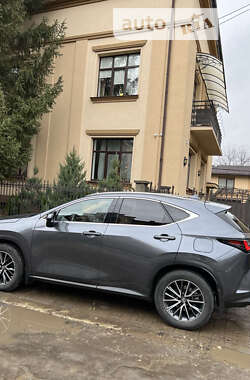 Lexus NX 2022