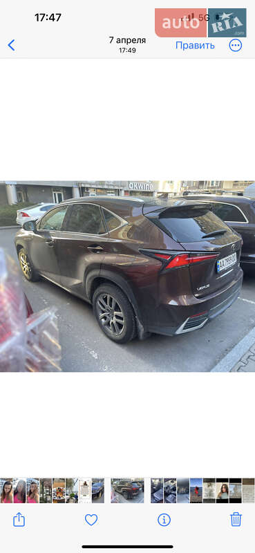 Позашляховик / Кросовер Lexus NX 2019 в Києві