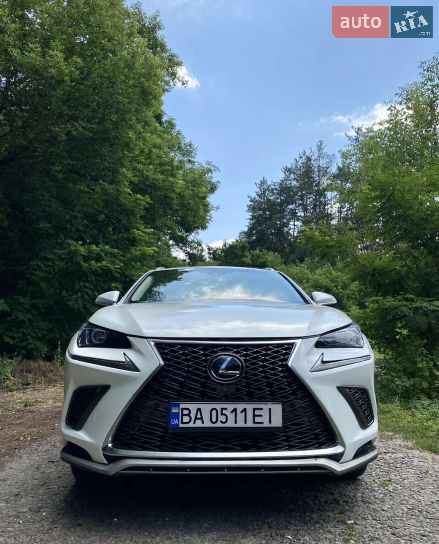 2019 Lexus NX - мініатюра 5