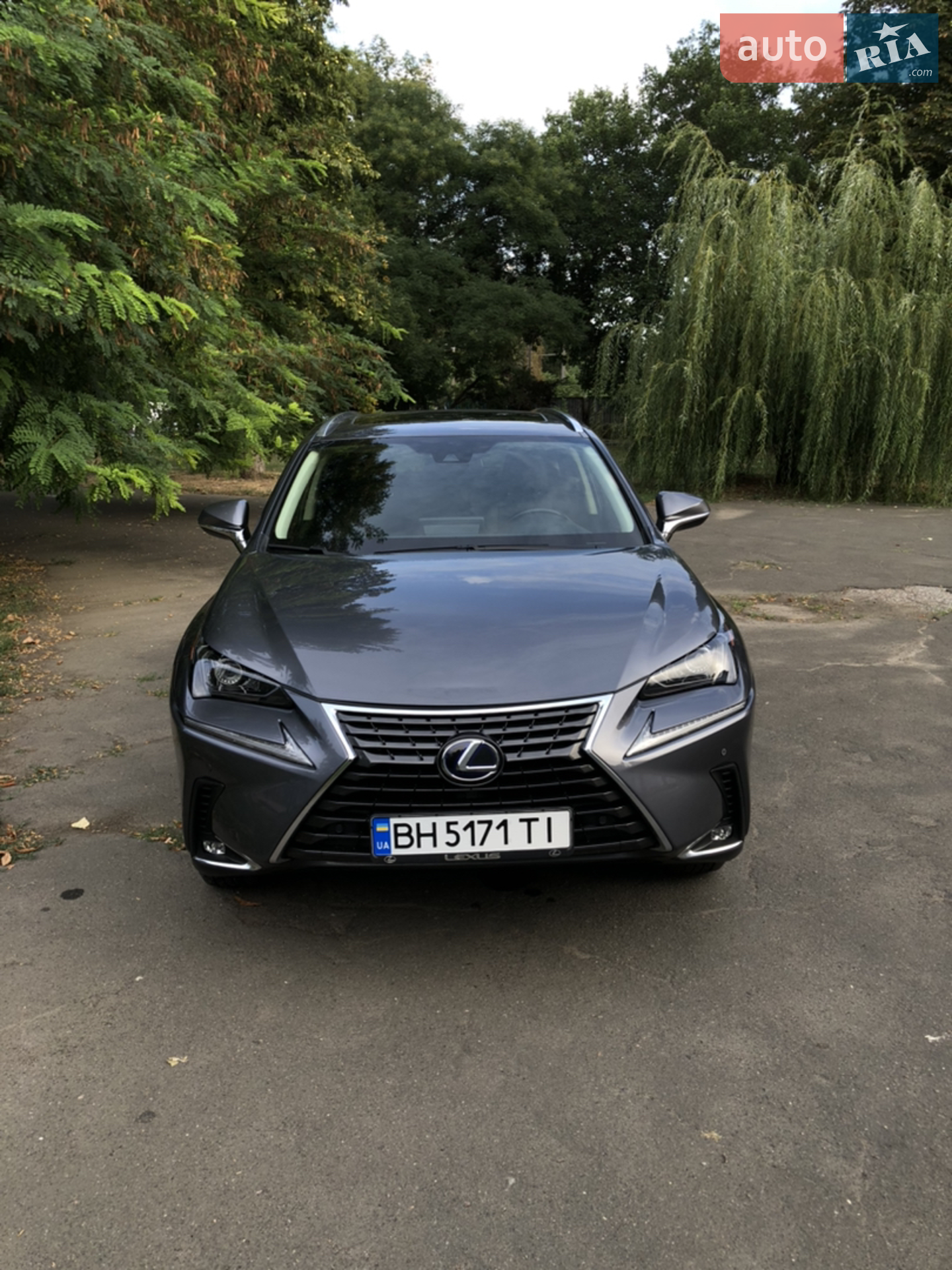 2019 Lexus NX - мініатюра 13