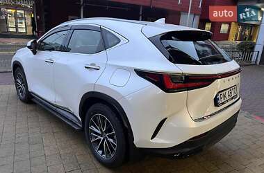 Внедорожник / Кроссовер Lexus NX 2023 в 