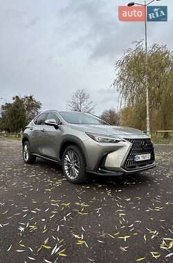 Lexus NX 2022