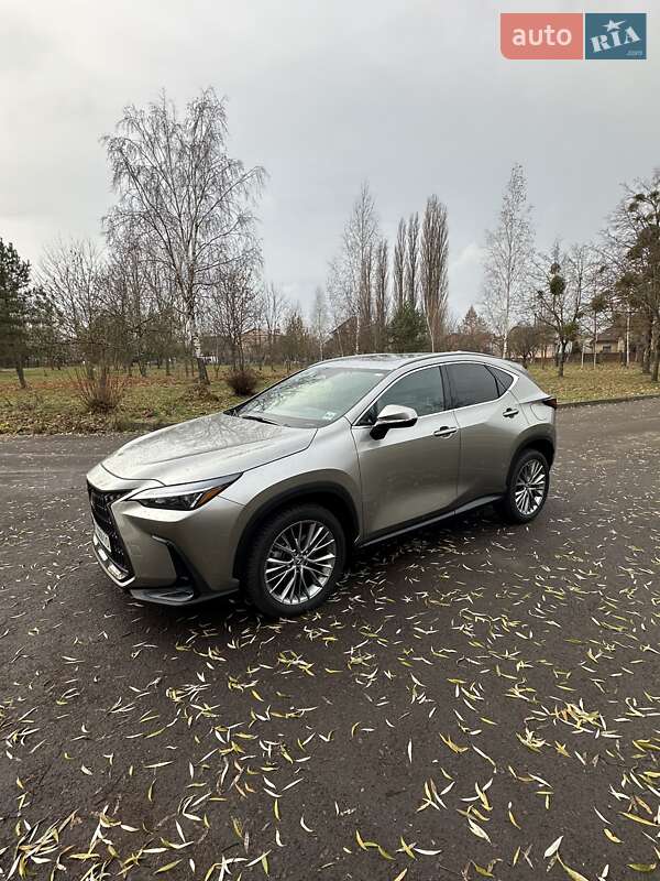 Внедорожник / Кроссовер Lexus NX 2022 в Ровно