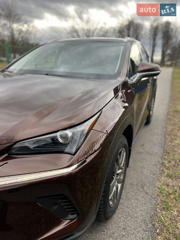 Позашляховик / Кросовер Lexus NX 2019 в Стрию
