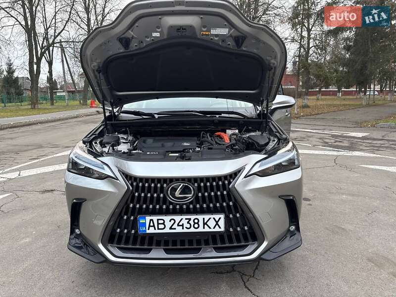 Позашляховик / Кросовер Lexus NX 2023 в Вінниці фото 20 Позашляховик / Кросовер Lexus NX 2023 в Вінниці