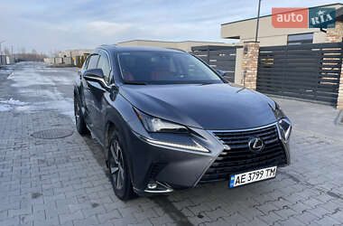 Позашляховик / Кросовер Lexus NX 2020 в 