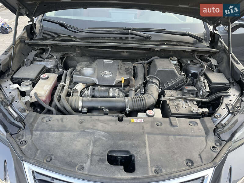 Внедорожник / Кроссовер Lexus NX 2020 в Днепре фото 23 Внедорожник / Кроссовер Lexus NX 2020 в Днепре