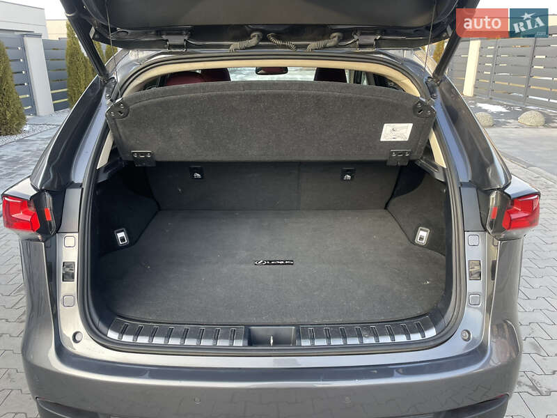 Внедорожник / Кроссовер Lexus NX 2020 в Днепре фото 37 Внедорожник / Кроссовер Lexus NX 2020 в Днепре