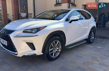 Внедорожник / Кроссовер Lexus NX 2020 в 